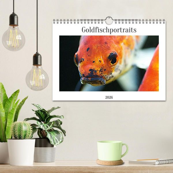 Produktbild: Goldfischportraits (Wandkalender 2026 DIN A4 quer), CALVENDO Monatskalender
