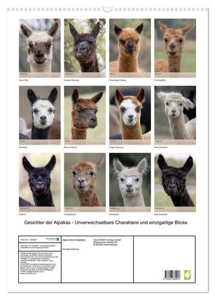 Produktbild: Gesichter der Alpakas - Unverwechselbare Charaktere und einzigartige Blicke (Wandkalender 2027 DIN A2 hoch), CALVENDO Monatskalender