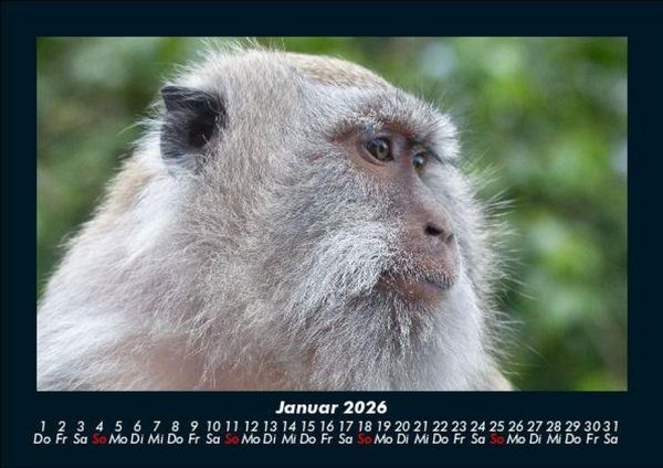 Produktbild: Bali 2026 Fotokalender DIN A5