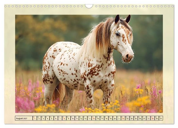 Produktbild: Knabstrupper Poesie. Gescheckte Eleganz im Farmsommer (Wandkalender 2027 DIN A3 quer), CALVENDO Monatskalender