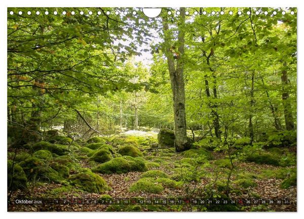 Produktbild: Feng Shui Farben - Element: Holz (Wandkalender 2026 DIN A4 quer), CALVENDO Monatskalender