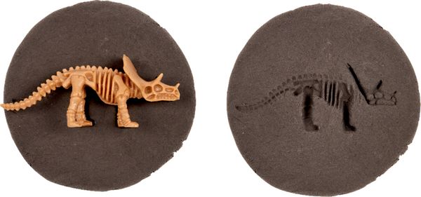 Produktbild: Fossil z. Selbermachen Dino-Skelett - T-Rex World, sort.