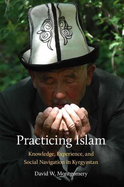 Produktbild: Practicing Islam