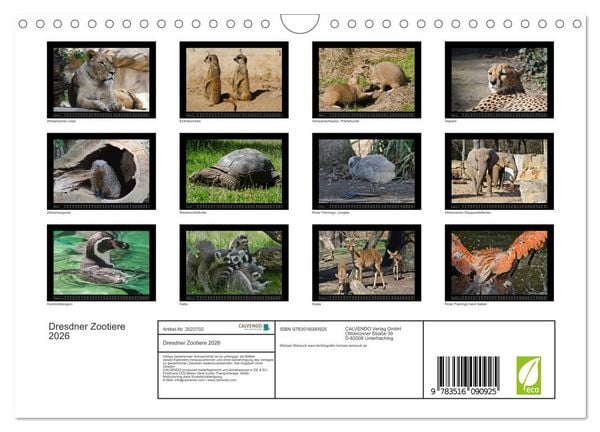 Produktbild: Dresdner Zootiere 2026 (Wandkalender 2026 DIN A4 quer), CALVENDO Monatskalender