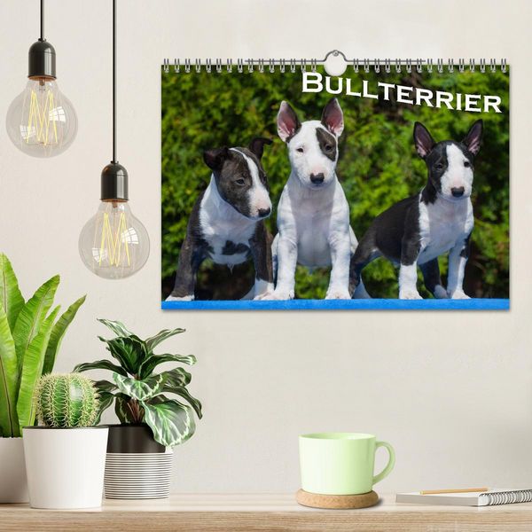 Produktbild: Bullterrier (Wandkalender 2026 DIN A4 quer), CALVENDO Monatskalender