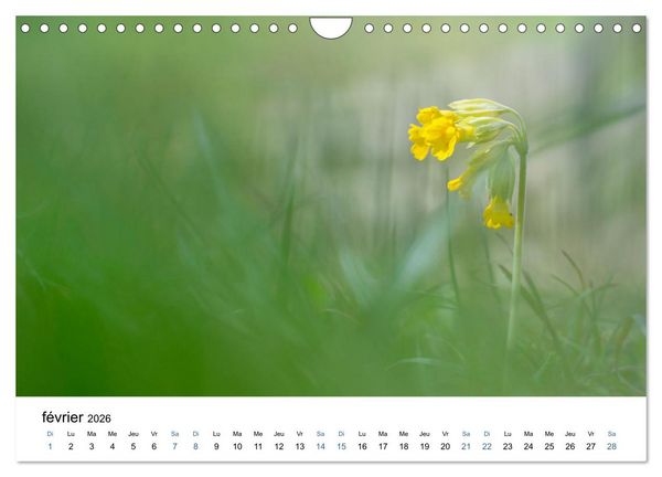 Produktbild: Fleurs po&eacute;tiques (Calendrier mural 2026 DIN A4 vertical), CALVENDO calendrier mensuel