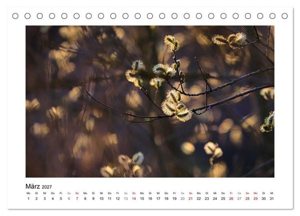 Produktbild: Naturkunstwerke (Tischkalender 2027 DIN A5 quer), CALVENDO Monatskalender