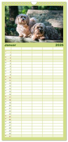 Produktbild: Familienplaner 2026 - Spa&szlig; mit Havanesern mit 5 Spalten (Wandkalender, 21 x 45 cm) CALVENDO