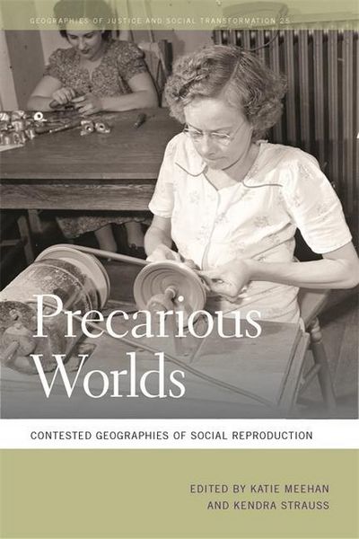 Produktbild: Precarious Worlds