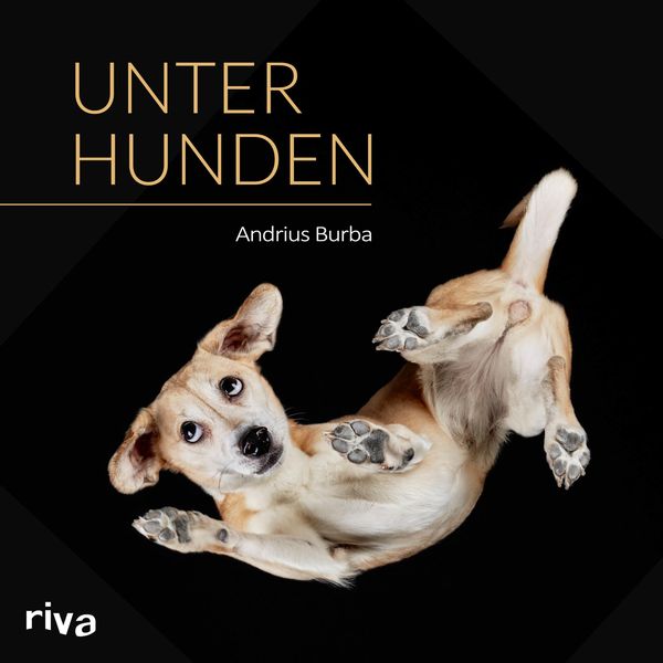 Produktbild: Unter Hunden