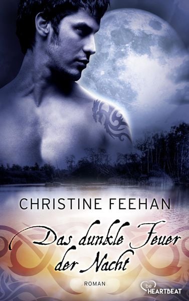 Produktbild: Das dunkle Feuer der Nacht