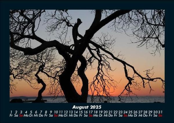 Produktbild: B&auml;ume 2025 Fotokalender DIN A5