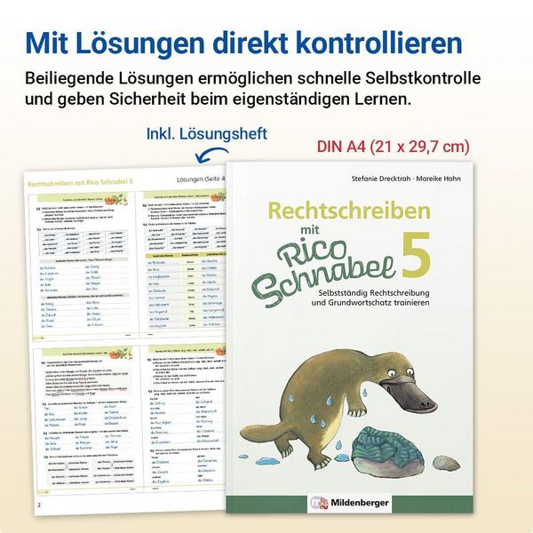 Produktbild: Rechtschreiben mit Rico Schnabel, Klasse 5
