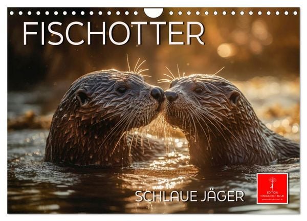 Produktbild: Fischotter - schlaue J&auml;ger (Wandkalender 2026 DIN A4 quer), CALVENDO Monatskalender