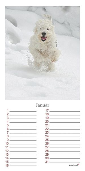 Produktbild: Geburtstagskalender Hunde