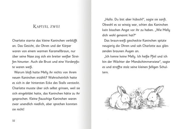 Produktbild: Magische H&auml;schen &ndash; Schokos&uuml;&szlig;e Abenteuer (Magische H&auml;schen)