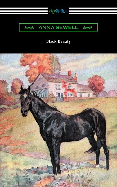 Produktbild: Black Beauty
