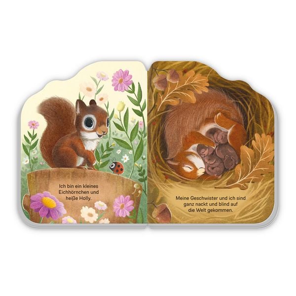Produktbild: TR&Ouml;TSCH - Pappenbuch Das kleine Eichh&ouml;rnchen| Ab 1 Jahr
