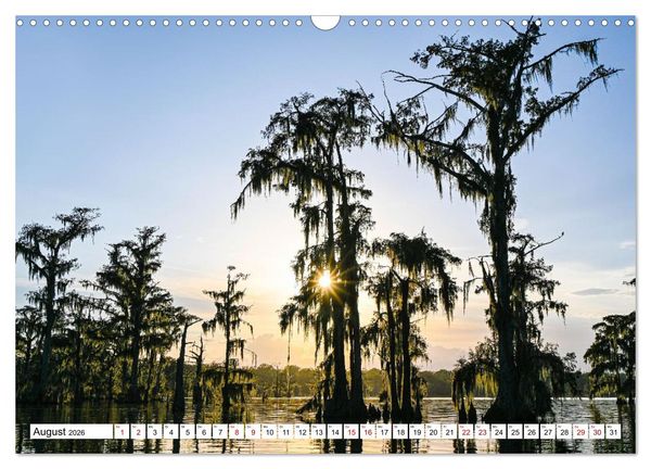 Produktbild: Louisiana - S&uuml;mpfe und Plantagenh&auml;user (Wandkalender 2026 DIN A3 quer), CALVENDO Monatskalender