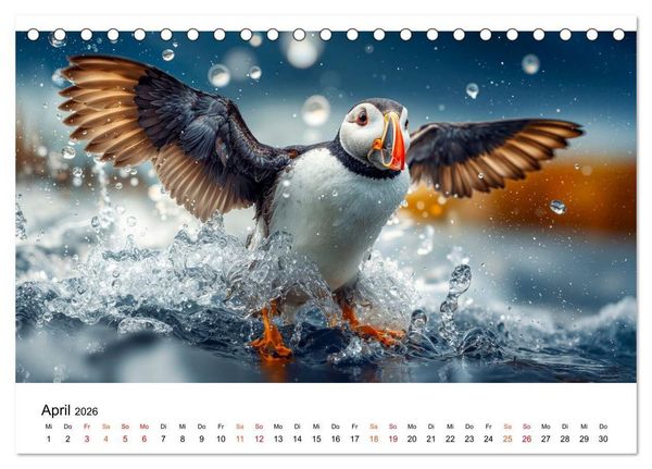 Produktbild: Papageitaucher - Freche Komiker auf Fels und Welle (Tischkalender 2026 DIN A5 quer), CALVENDO Monatskalender