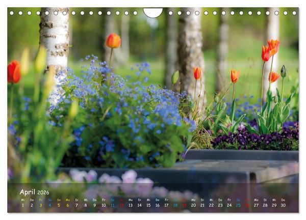Produktbild: Zauberhaftes Norderstedt (Wandkalender 2026 DIN A4 quer), CALVENDO Monatskalender
