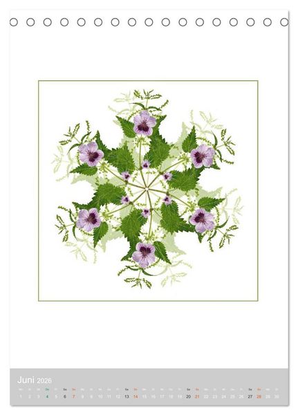 Produktbild: Pflanzen - Mandalas aus Bl&uuml;ten und Bl&auml;ttern (Tischkalender 2026 DIN A5 hoch), CALVENDO Monatskalender