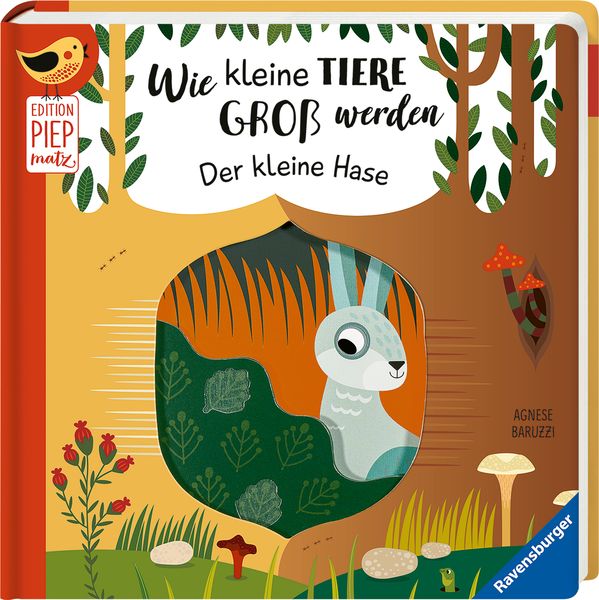 Wie kleine Tiere groß werden: Der kleine Hase
