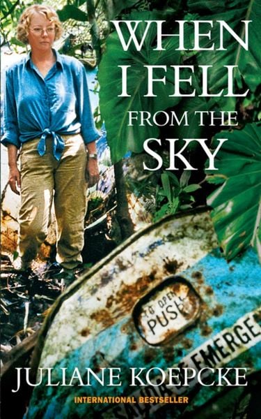 Produktbild: When I Fell From The Sky