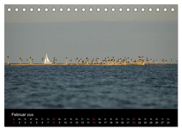 Produktbild: Wasserwandern in Mecklenburg-Vorpommern (Tischkalender 2026 DIN A5 quer), CALVENDO Monatskalender