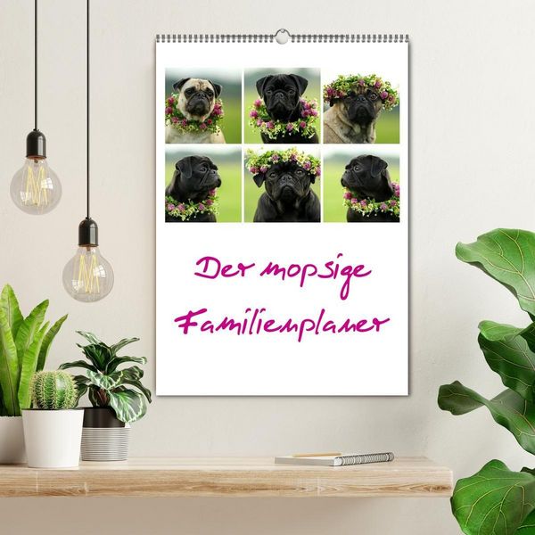 Produktbild: Der mopsige Familienplaner (Wandkalender 2027 DIN A2 hoch), CALVENDO Monatskalender
