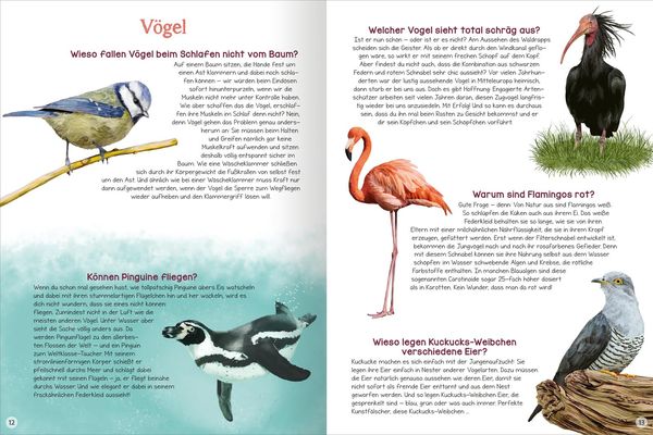 Was willst du wissen? Das große Fragen- und Antwortenbuch – Tiere
