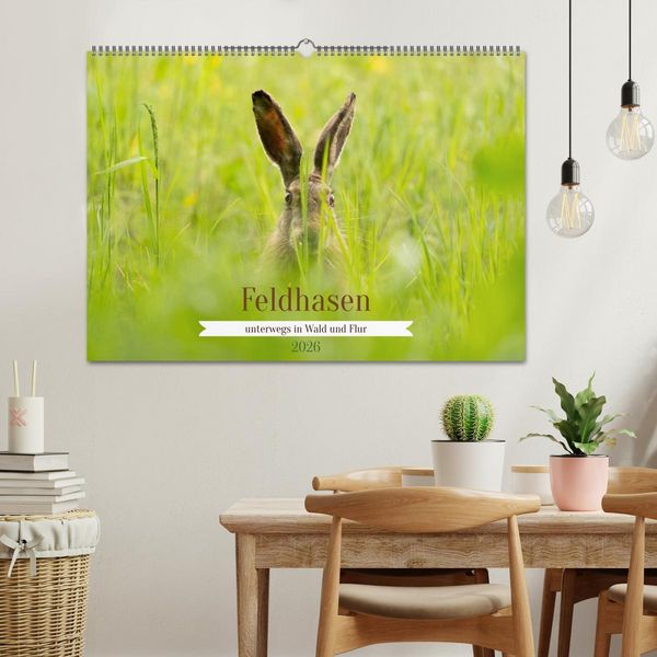 Produktbild: Feldhasen unterwegs in Wald und Flur (Wandkalender 2026 DIN A2 quer), CALVENDO Monatskalender