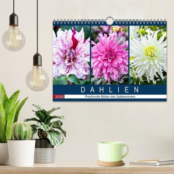 Produktbild: Dahlien - Prachtvolle Bl&uuml;ten des Sp&auml;tsommers (Wandkalender 2026 DIN A4 quer), CALVENDO Monatskalender