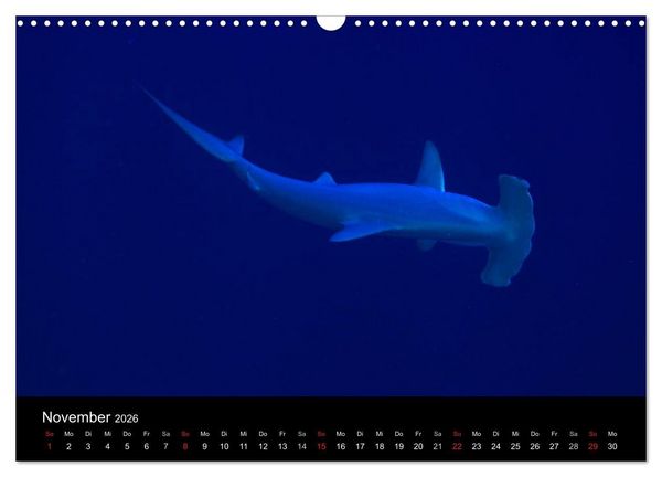 Produktbild: Magische Unterwasserwelten (Wandkalender 2026 DIN A3 quer), CALVENDO Monatskalender