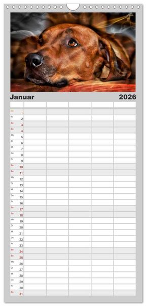 Produktbild: Familienplaner 2026 - Rhodesian Ridgeback - Moments mit 5 Spalten (Wandkalender, 21 x 45 cm) CALVENDO