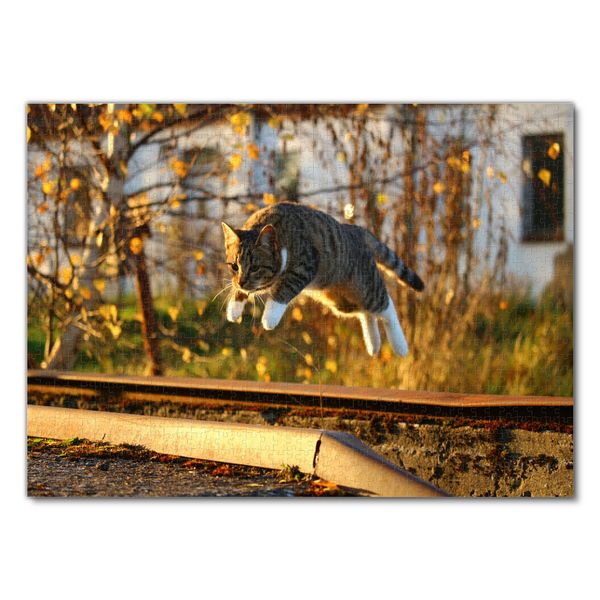 Produktbild: Lais Puzzle Katze im Herbst 1000 Teile