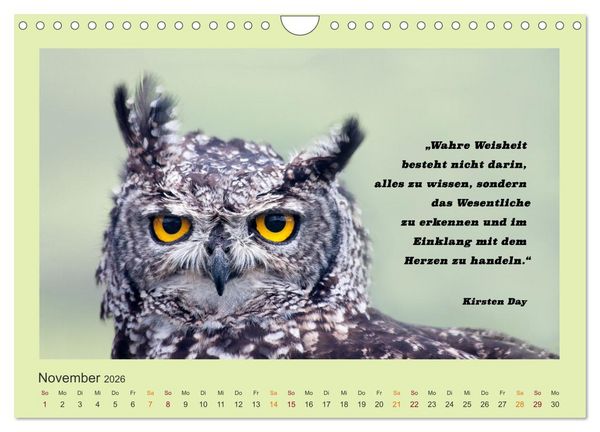 Produktbild: Co-Kreation, Gemeinsam Wunder erschaffen (Wandkalender 2026 DIN A4 quer), CALVENDO Monatskalender