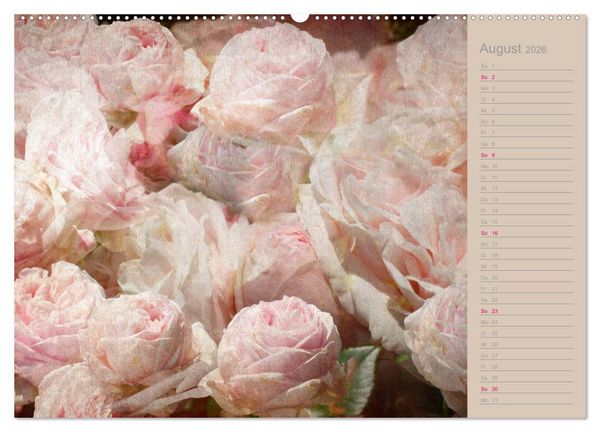 Produktbild: Romantische Rosen (Wandkalender 2026 DIN A2 quer), CALVENDO Monatskalender