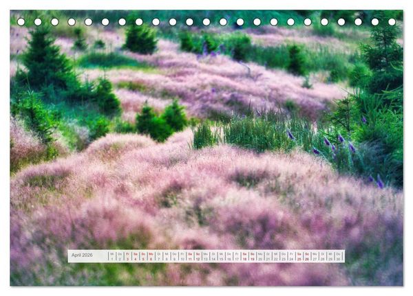 Produktbild: Traumhafte Waldstimmung am Rennsteig im Th&uuml;ringer Wald (Tischkalender 2026 DIN A5 quer), CALVENDO Monatskalender