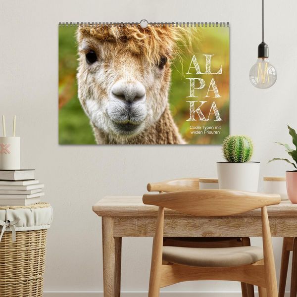 Produktbild: Alpaka, coole Typen mit wilden Frisuren (Wandkalender 2026 DIN A3 quer), CALVENDO Monatskalender