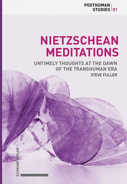 Produktbild: Nietzschean Meditations (softcover)
