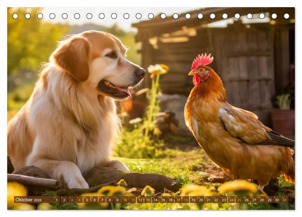 Produktbild: Bauernhof-Freunde - Hunde und ihre tierischen Freundschaften (Tischkalender 2026 DIN A5 quer), CALVENDO Monatskalender