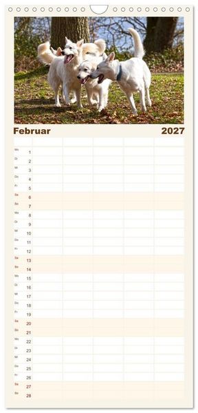 Produktbild: Familienplaner 2027 - Berger Blanc Suisse - Weggef&auml;hrten auf 4 Pfoten mit 5 Spalten (Wandkalender, 21 x 45 cm) CALVENDO