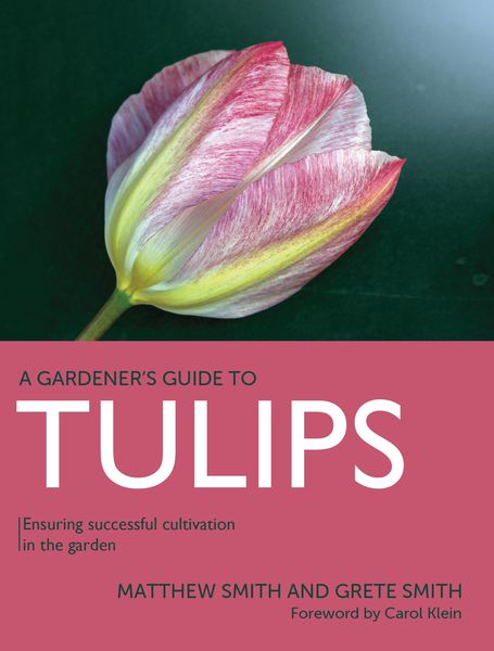 Produktbild: Tulips