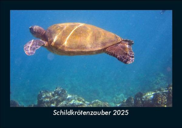 Produktbild: Schildkr&ouml;tenzauber 2025 Fotokalender DIN A5