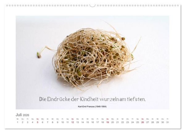 Produktbild: FunnyFood (hochwertiger Premium Wandkalender 2026 DIN A2 quer), Kunstdruck in Hochglanz