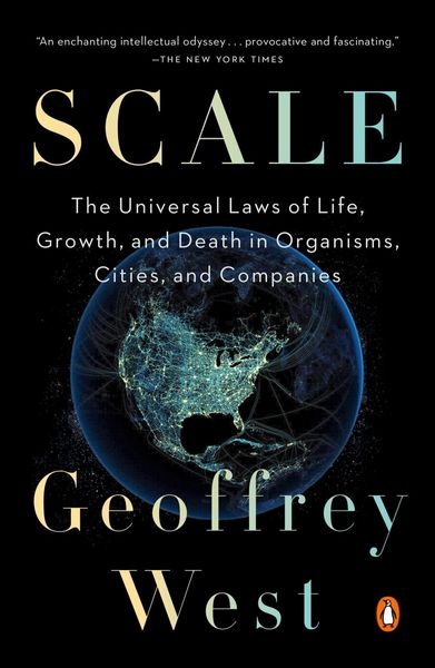 Produktbild: Scale