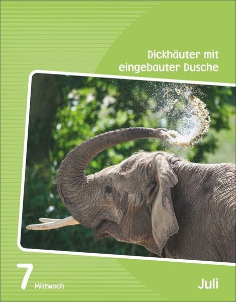 Produktbild: Wissen f&uuml;r Kids Tagesabrei&szlig;kalender 2027