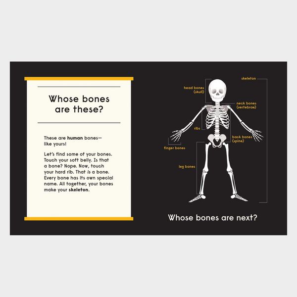 Produktbild: Whose Bones?