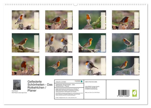 Produktbild: Gefiederte Sch&ouml;nheiten - Das Rotkehlchen / Planer (hochwertiger Premium Wandkalender 2026 DIN A2 quer), Kunstdruck in Hochglanz